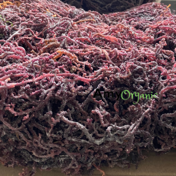 Raw Sea Moss Bulk