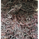 Raw Purple Sea Moss 500g- Premium Quality