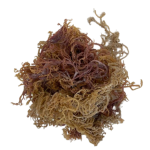 Premium Sea Moss Gel - Nature's Nutrient Powerhouse